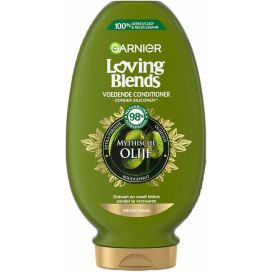 GARNIER LOVING BLENDS CONDITI250 ML