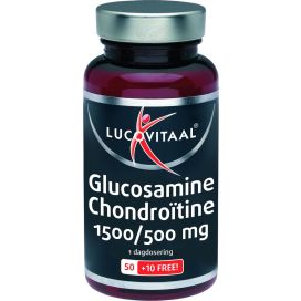 GLUCOSAMINE/CHONDROITINE       60tb