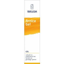 ARNICA GEL                      25g