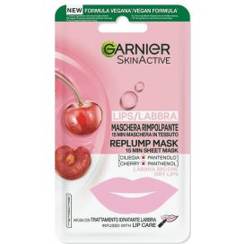 GARNIER SKIN ACTIVE LIP REPLUMP5 GR