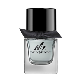 BURBERRY MR.BURBERRY EDT 50 ML