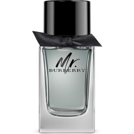 BURBERRY MR.BURBERRY EDT 100 ML