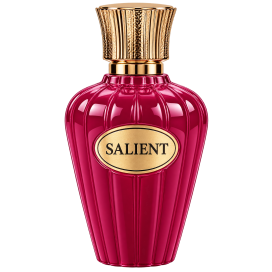 ACO NICHE SALIENT EDP 100 ML